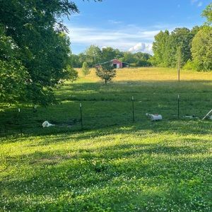 Meet your Posher, Jake